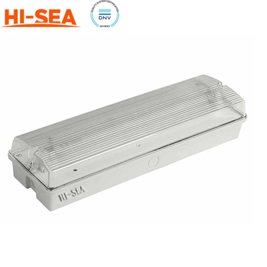 Built-in Type Fluorescent Ceiling Light